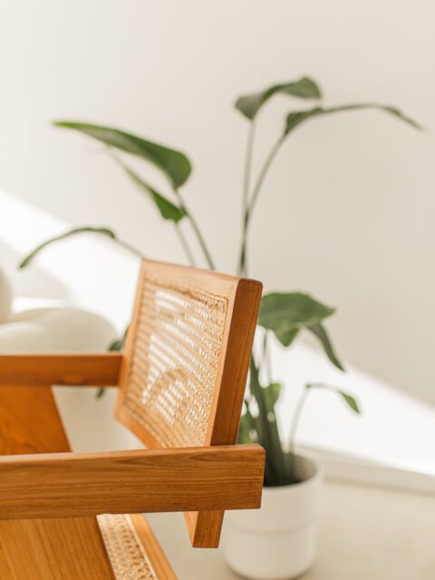 Take a seat in our studio’s beautiful day light✨

Did you know we have an opening offer ends december 31st, book your slot now! 

#theduospace #daglicht #daglichtstudio #daylight #studiohaarlem #fotostudio #eventlocation #eventlocatie #babyshower #mommyshower #haarlem #haarlemcity #daylightphotography